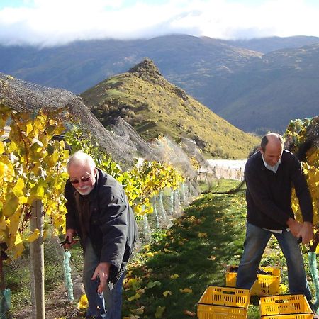 Mt Rosa Lodge Boutique Vineyard Accommodation Wanaka Exteriör bild