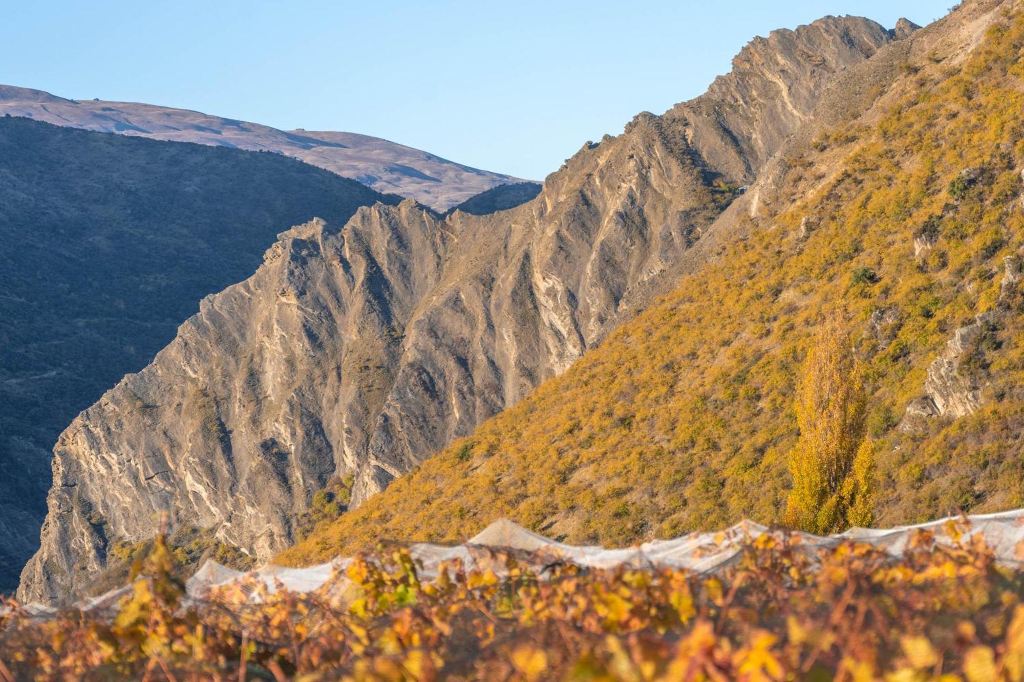 Mt Rosa Lodge Boutique Vineyard Accommodation Wanaka Exteriör bild