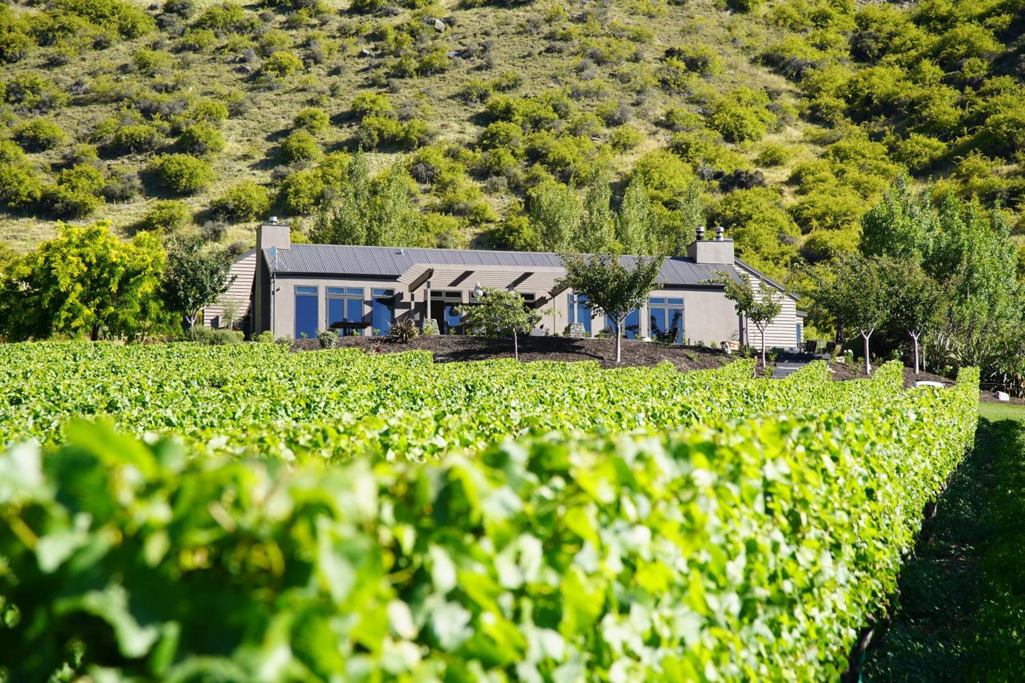 Mt Rosa Lodge Boutique Vineyard Accommodation Wanaka Exteriör bild