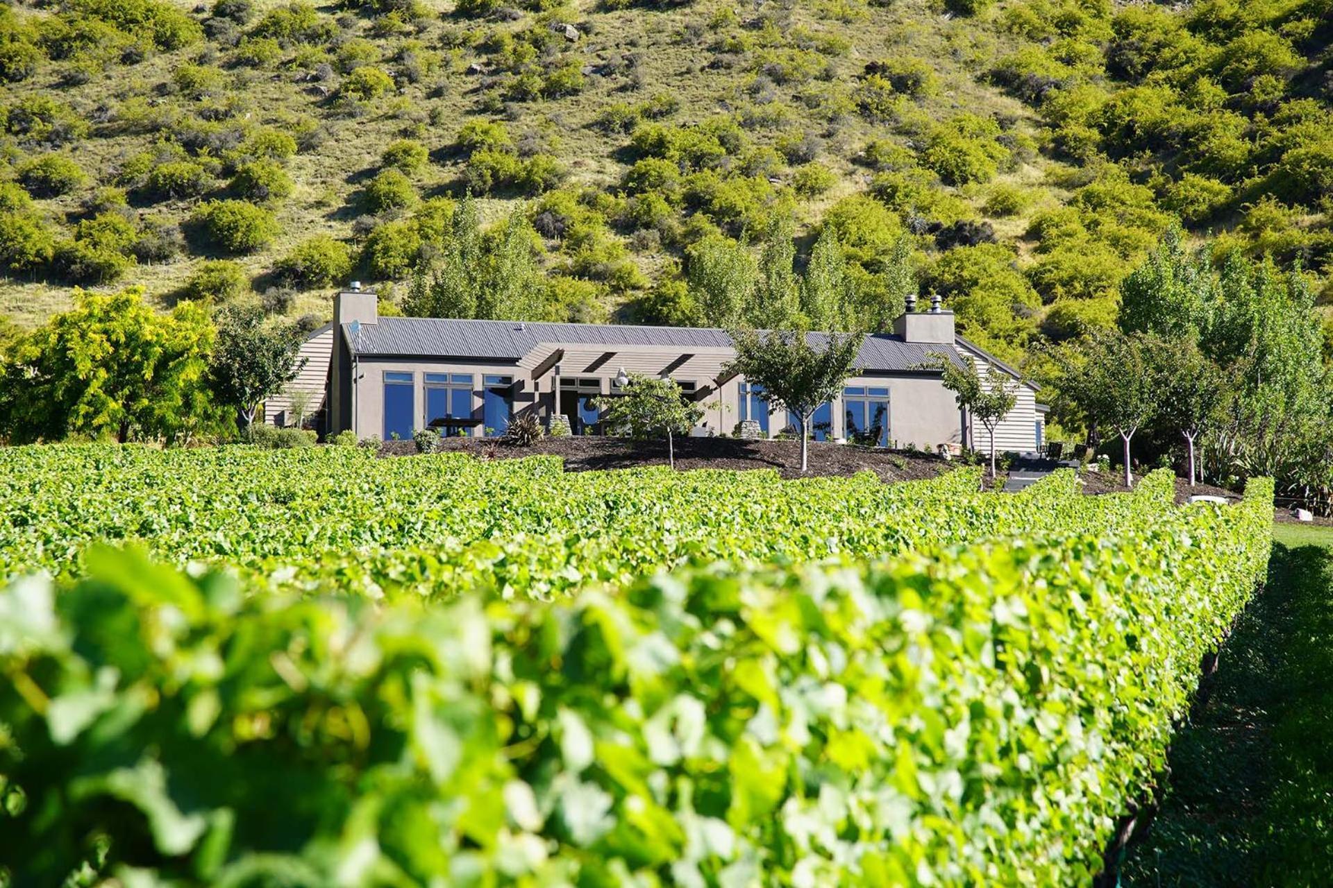 Mt Rosa Lodge Boutique Vineyard Accommodation Wanaka Exteriör bild