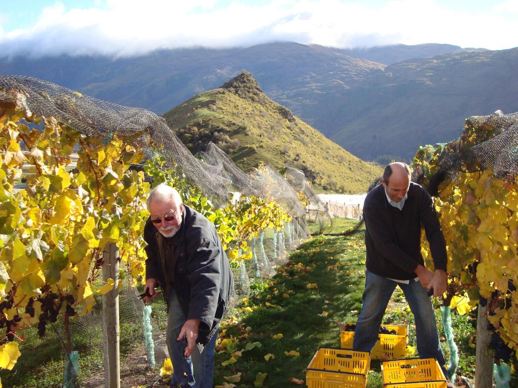 Mt Rosa Lodge Boutique Vineyard Accommodation Wanaka Exteriör bild