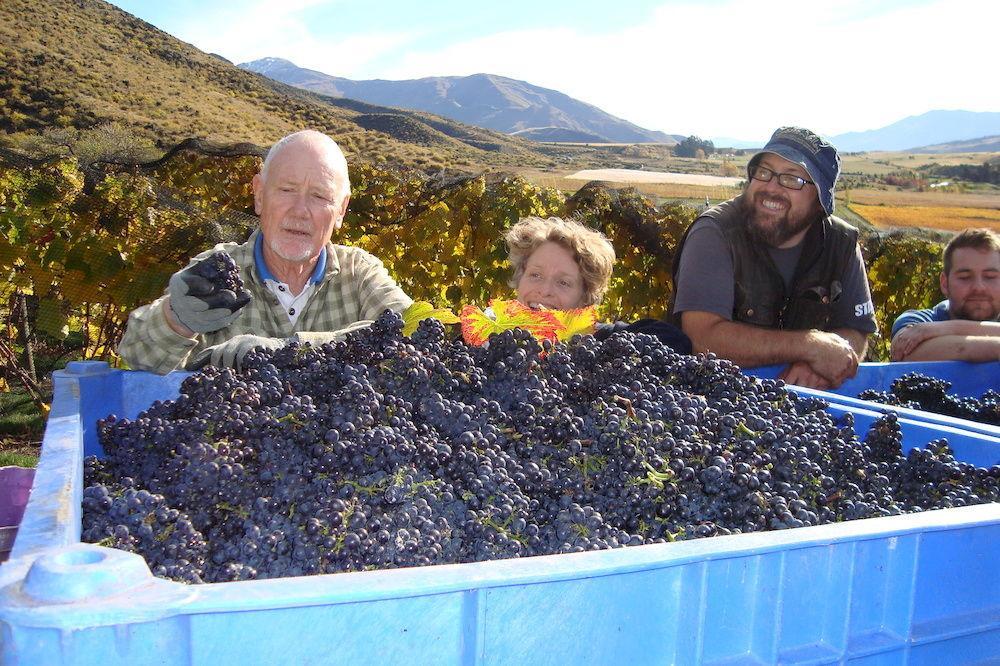 Mt Rosa Lodge Boutique Vineyard Accommodation Wanaka Exteriör bild