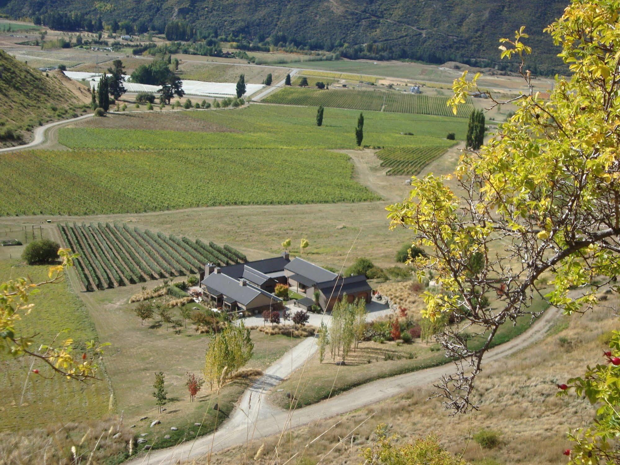 Mt Rosa Lodge Boutique Vineyard Accommodation Wanaka Exteriör bild