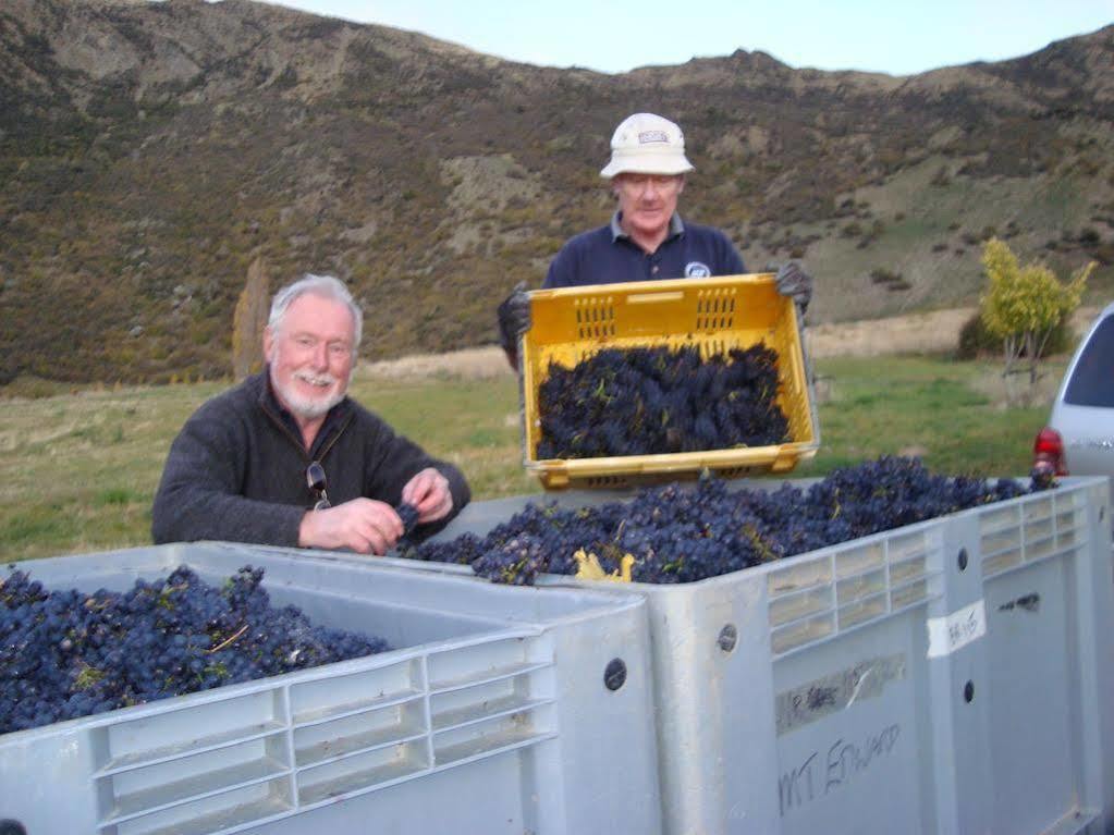 Mt Rosa Lodge Boutique Vineyard Accommodation Wanaka Exteriör bild